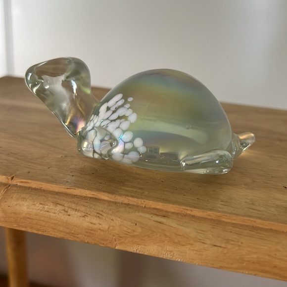 Turtle - Picture 3 of 5